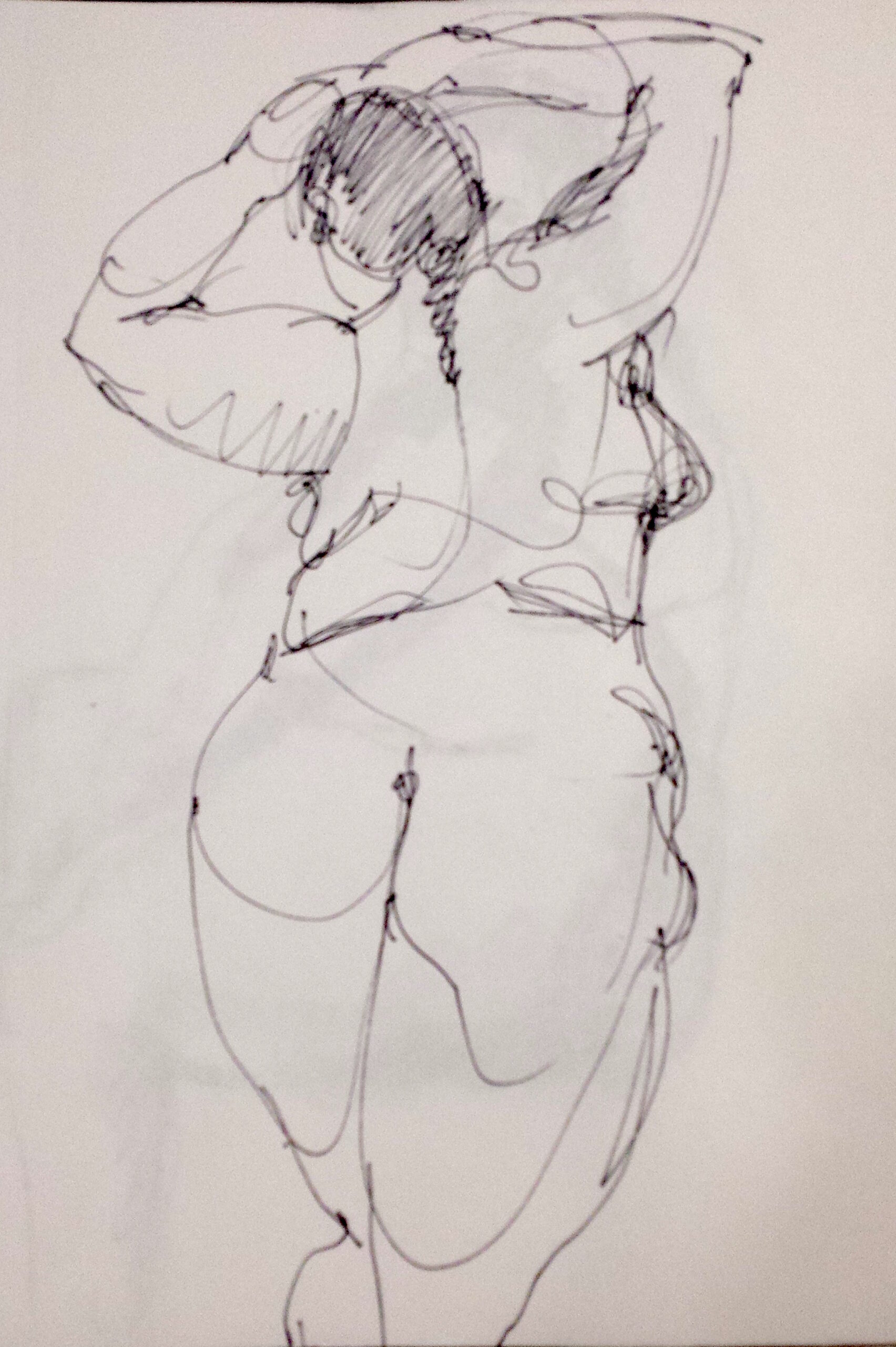 Cheryl_Pen_on_Paper_12x8_